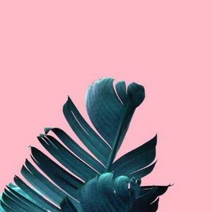 Meet your Posher, Lupe